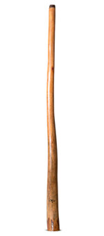 Tristan O'Meara Didgeridoo (TM466)